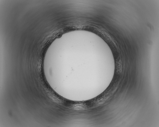 X0000112500505200908311455