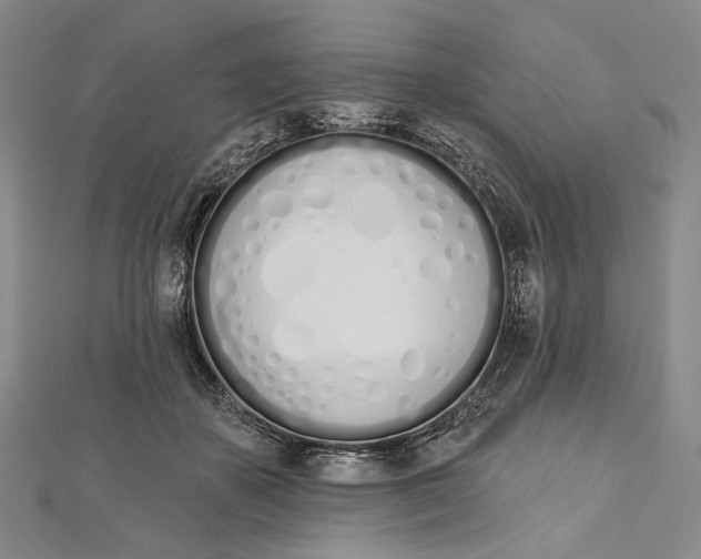 X0000112500507200908311455