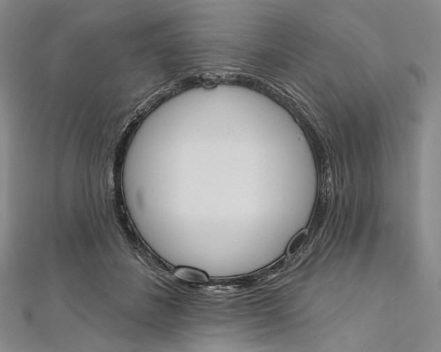 X0000112500508200908311455