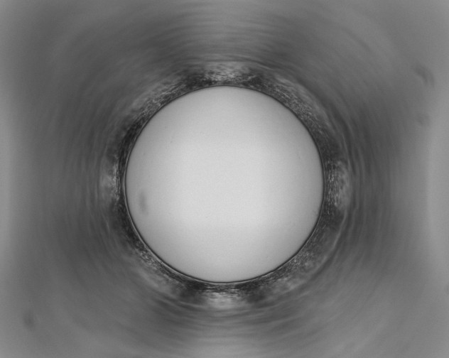 X0000112500510200908311455