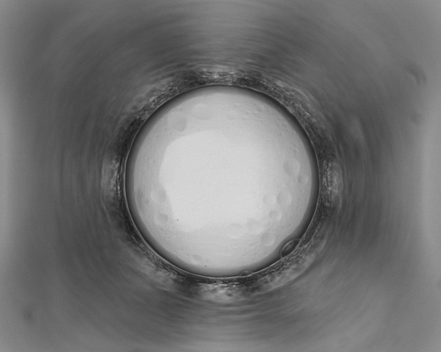 X0000112500511200908311455