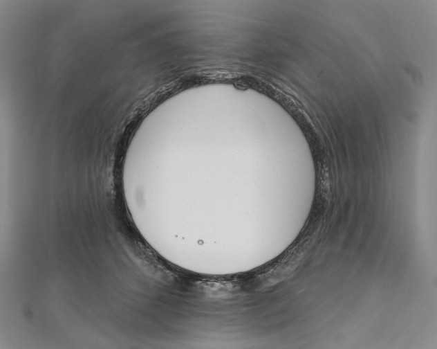 X0000112500512200908311455