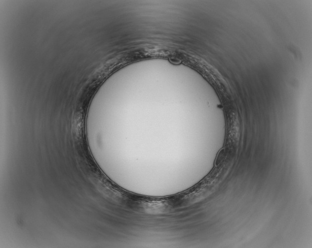 X0000112500513200908311455