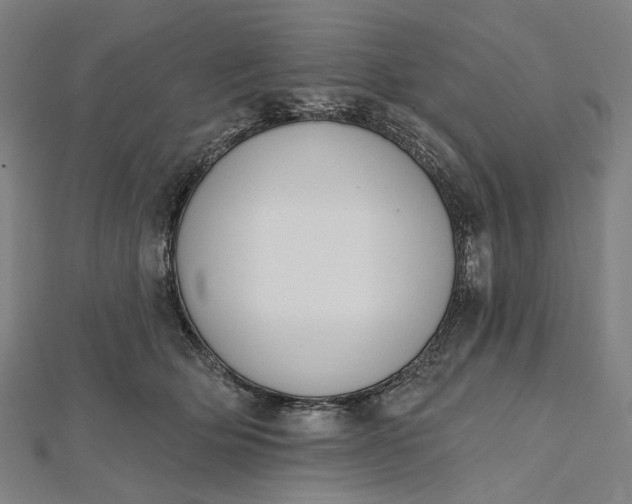 X0000112500514200908311455