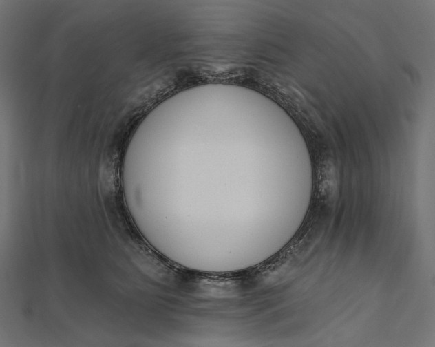 X0000112500515200908311455