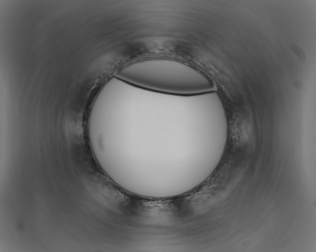 X0000112500516200908311455