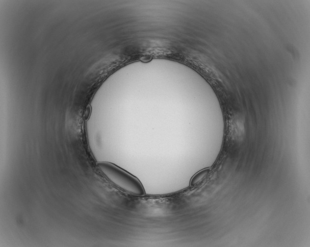 X0000112500517200908311455