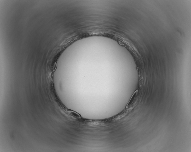 X0000112500521200908311455