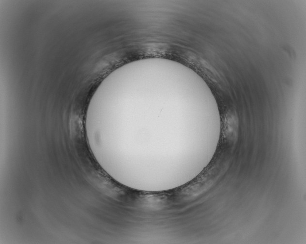 X0000112500522200908311455