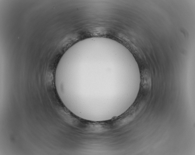 X0000112500523200908311455