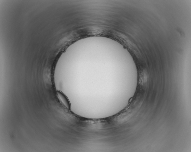 X0000112500524200908311454