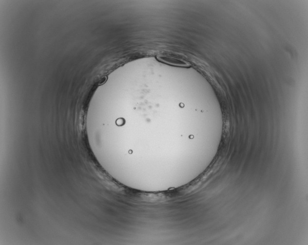 X0000112500525200908311454