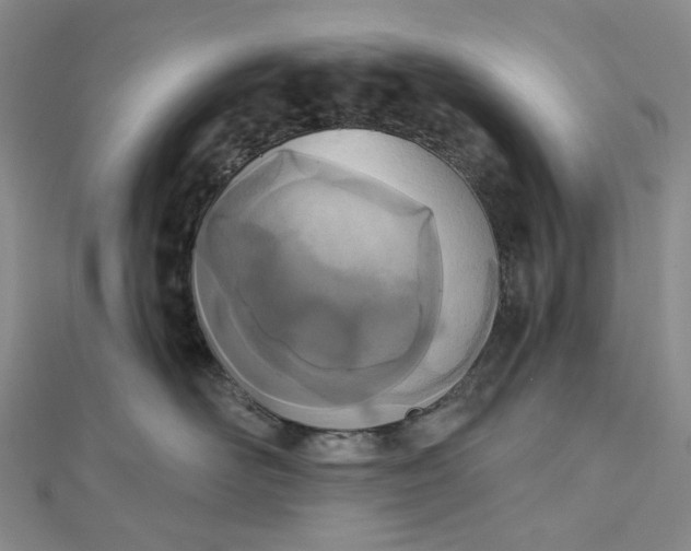 X0000112500526200908311454