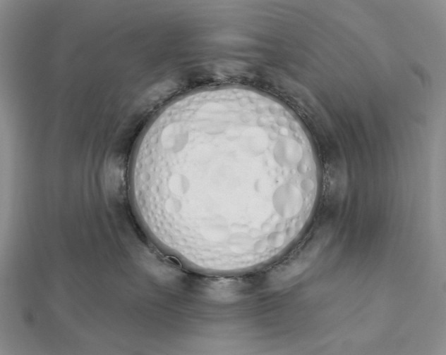 X0000112500527200908311454