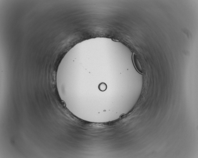 X0000112500528200908311454