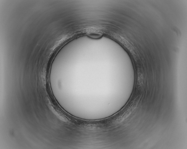 X0000112500530200908311454