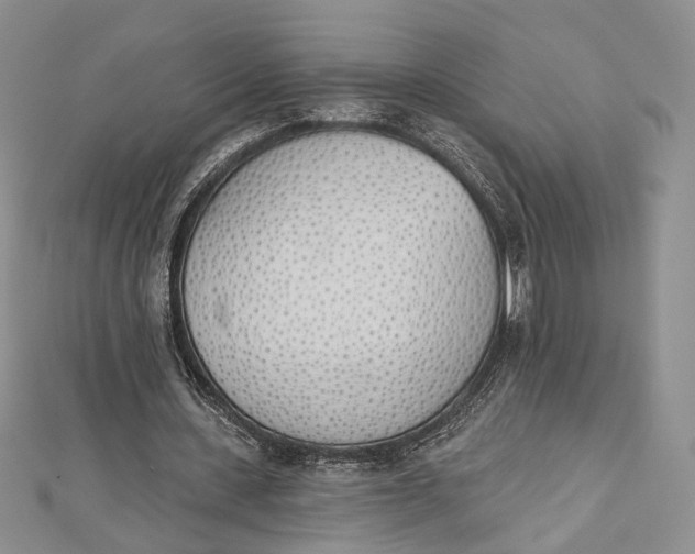 X0000112500531200908311454