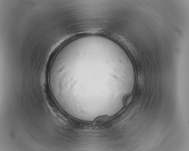 X0000112500532200908311454