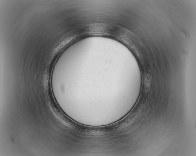 X0000112500533200908311454