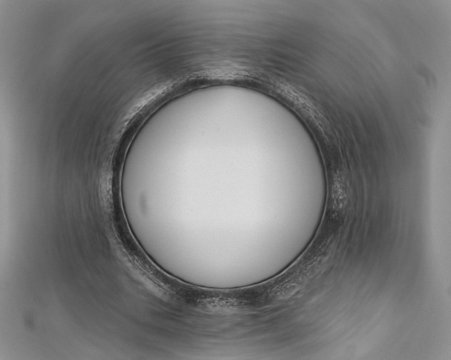 X0000112500535200908311454