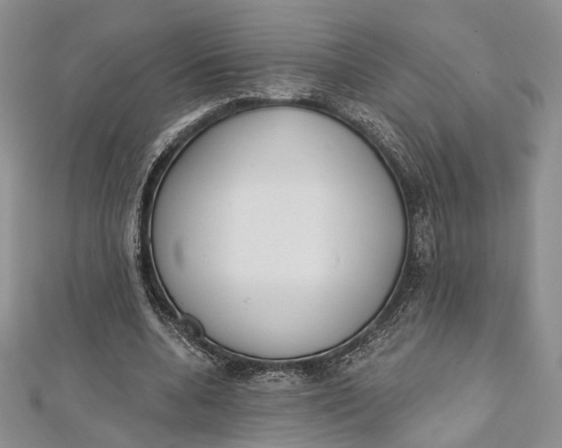 X0000112500536200908311454