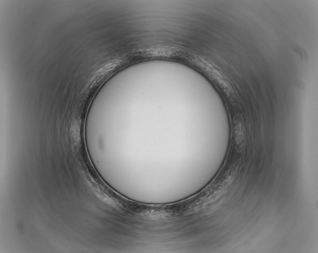 X0000112500537200908311454