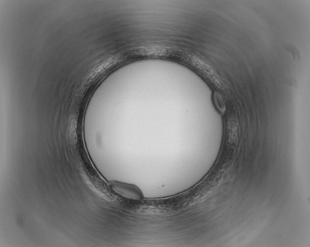 X0000112500538200908311454