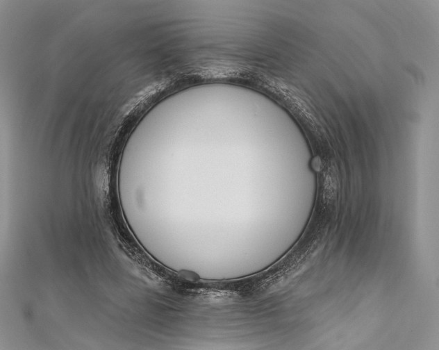 X0000112500539200908311454