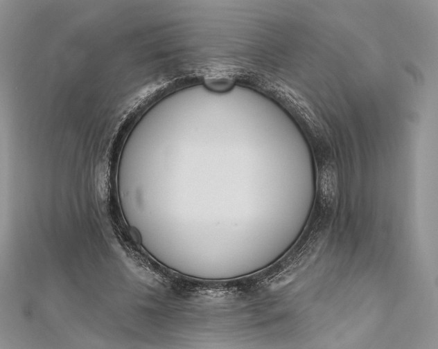 X0000112500540200908311454