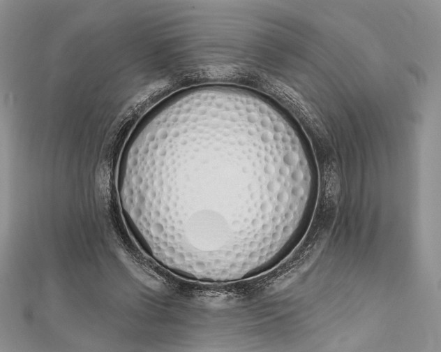 X0000112500542200908311454