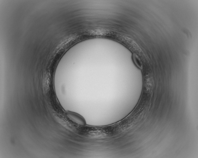 X0000112500544200908311454