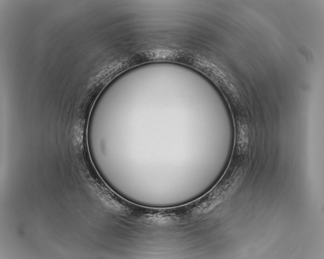 X0000112500545200908311454