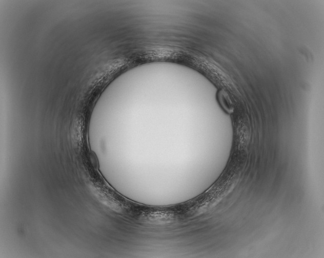 X0000112500546200908311454