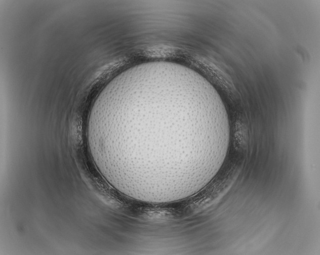 X0000112500547200908311454