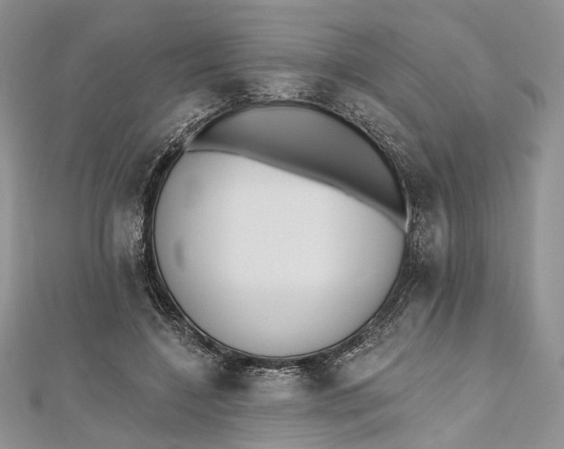 X0000112500548200908311454