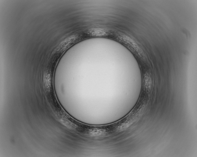 X0000112500549200908311454