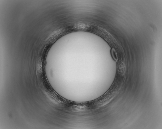 X0000112500552200908311454