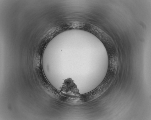 X0000112500554200908311454