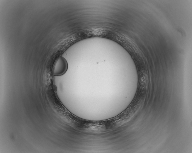 X0000112500555200908311454