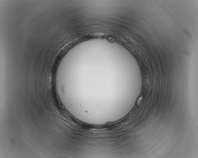 X0000112500556200908311454