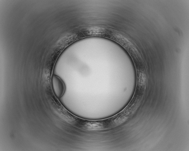 X0000112500557200908311454