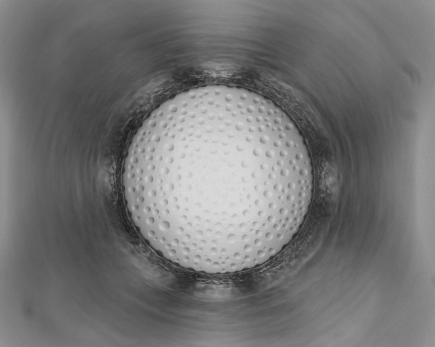 X0000112500559200908311454