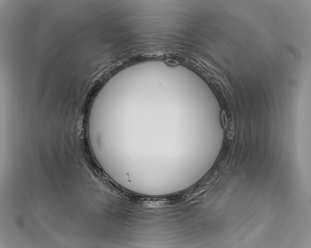 X0000112500560200908311454