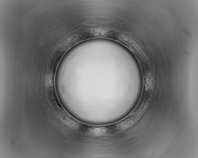 X0000112500561200908311454