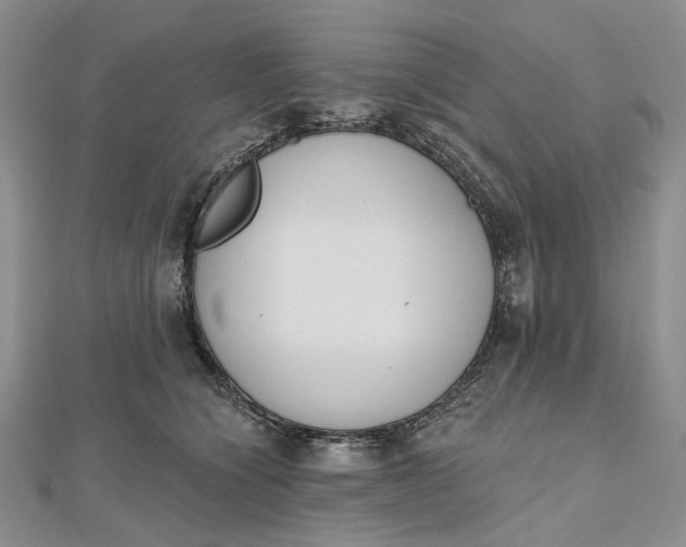 X0000112500564200908311454