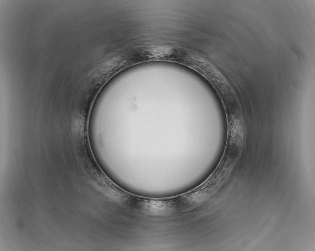 X0000112500565200908311454