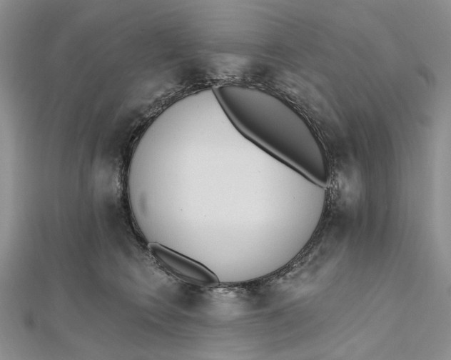 X0000112500566200908311454