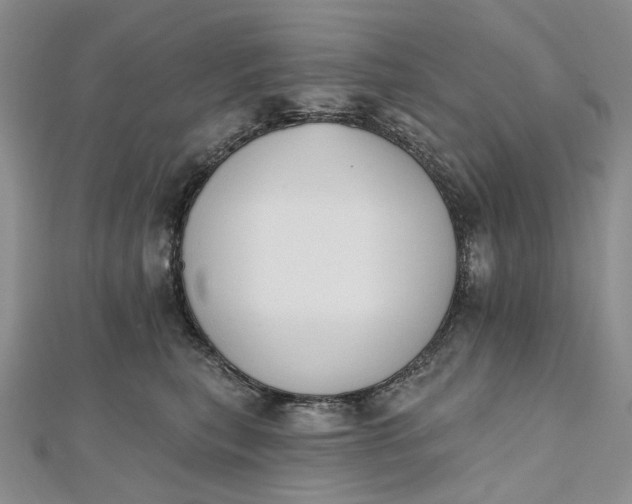 X0000112500567200908311454