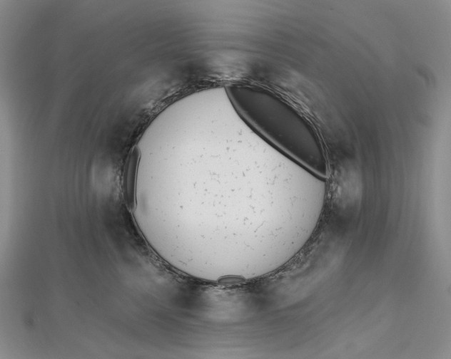 X0000112500568200908311454