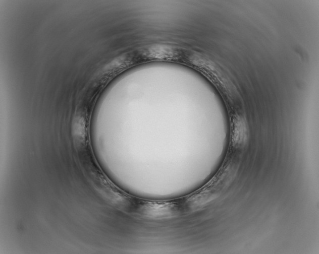 X0000112500569200908311454